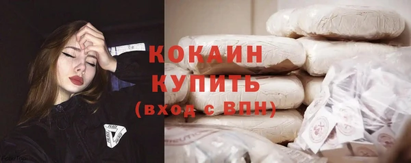 трава Осинники