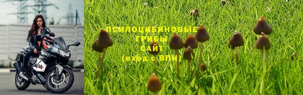 трава Осинники