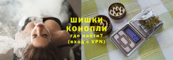 трава Осинники