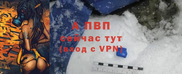 трава Осинники